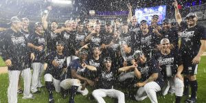 Yankees Take AL East Division Title