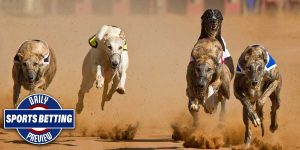 Greyhound Racing