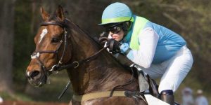 Grand National Steeplechase