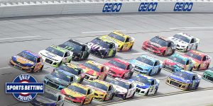 GEICO 500