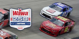 Wawa 250